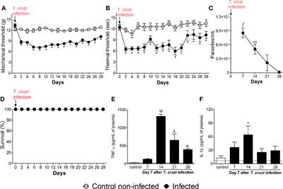 Experimental Trypanosoma cruzi Infection Induces Pain in Mice Dependent on Early Spinal Cord Glial Cells and NFκB Activation and Cytokine Production